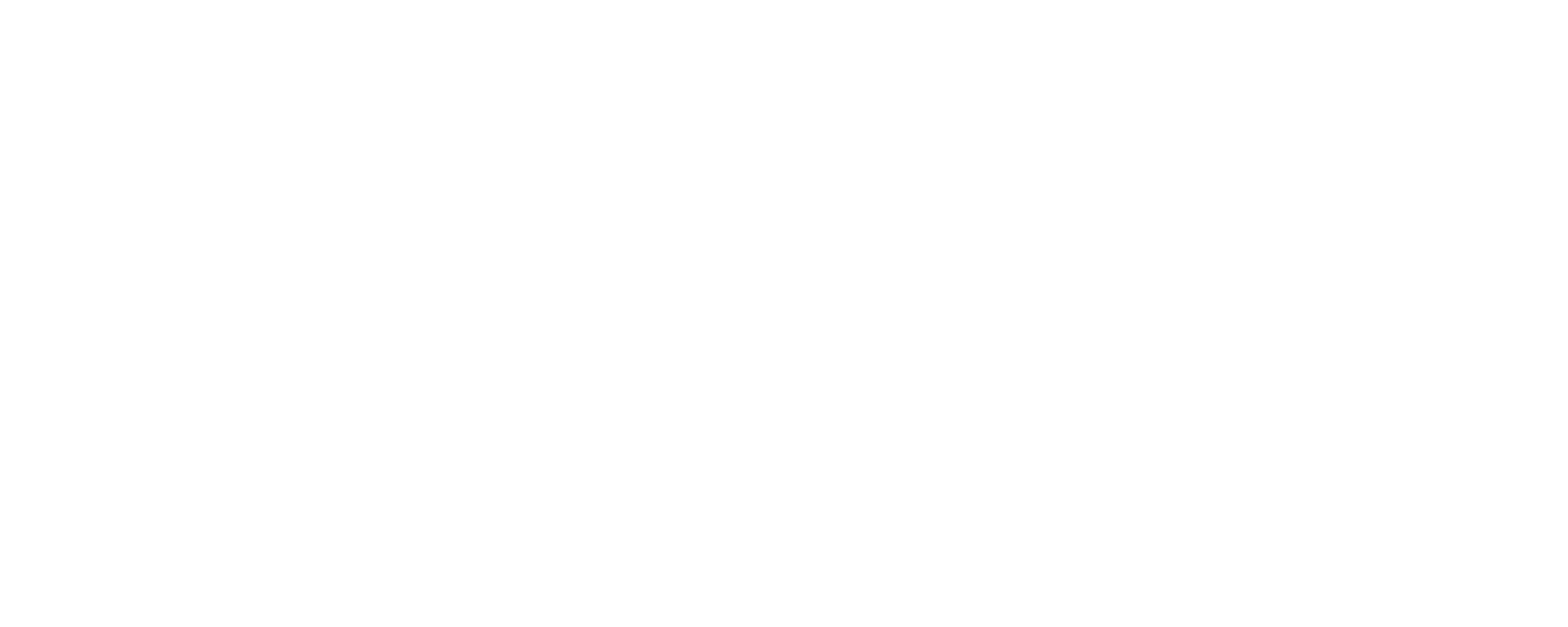 MICS logo representing their mission to enable the medical profession to dedicate themselves only to their duties