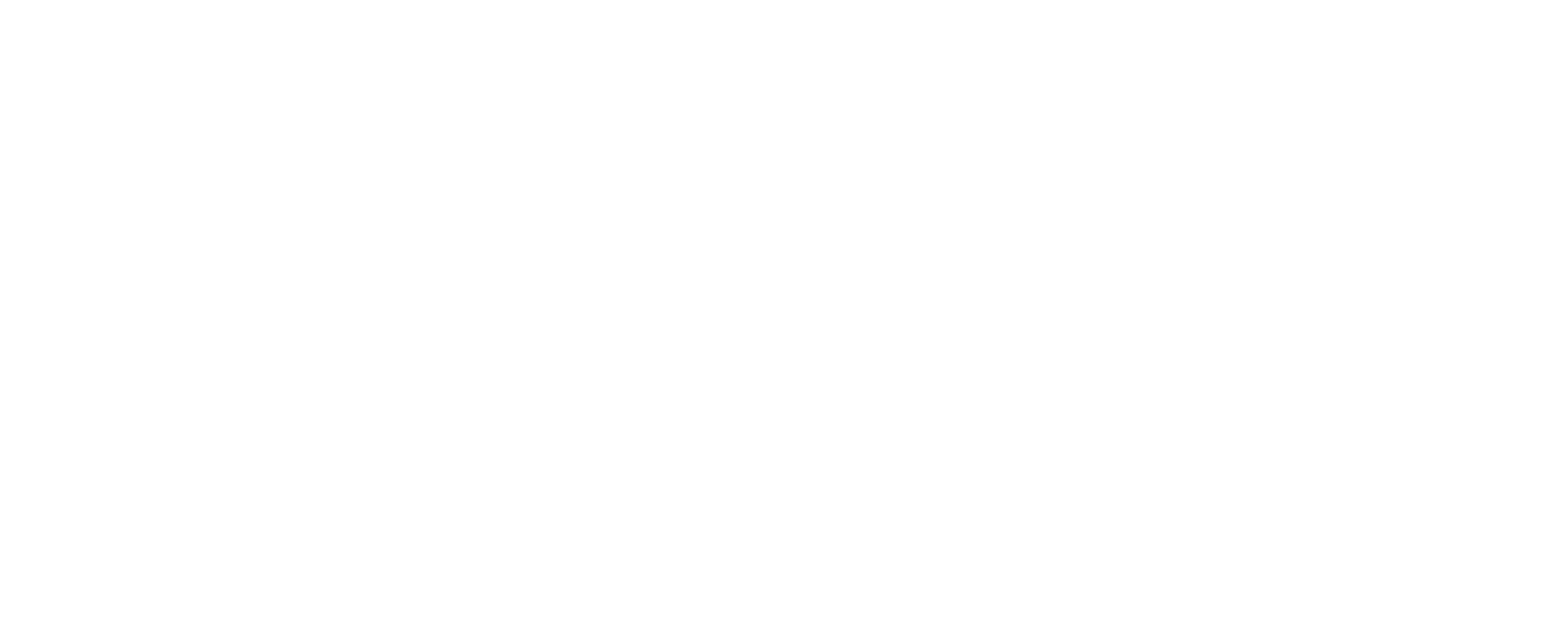 Nashville State Community College logo representing their mission to connect students, employers, and communities through personalized, high-quality, innovative educational experiences.